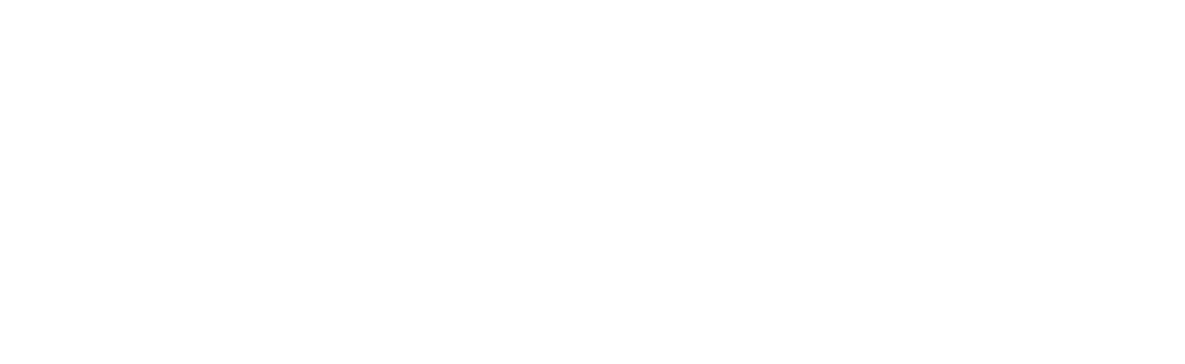 Avvir logo