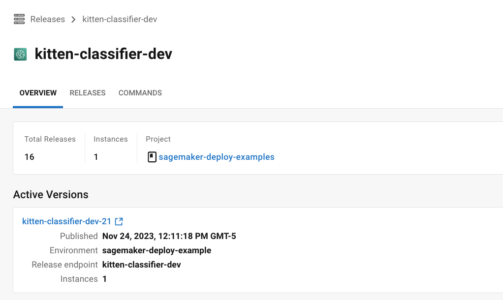 Releases component view